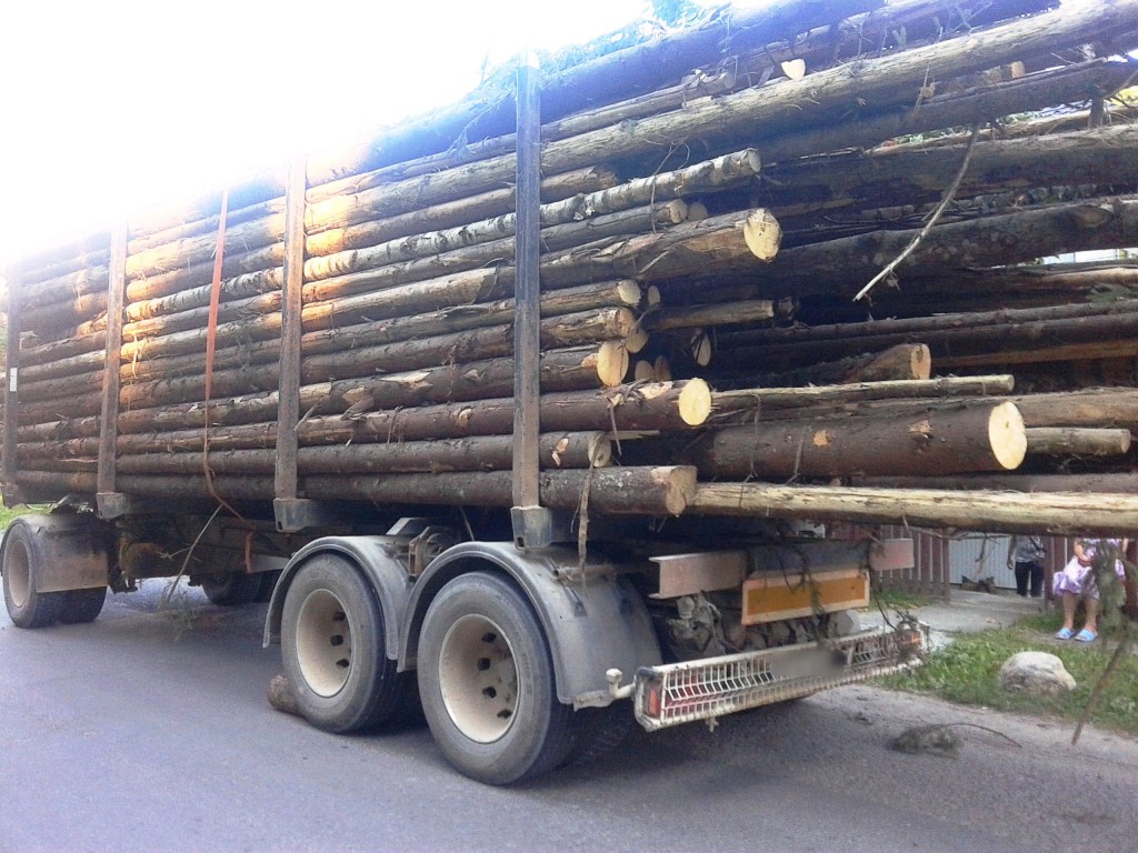 camion-cu-lemne-1